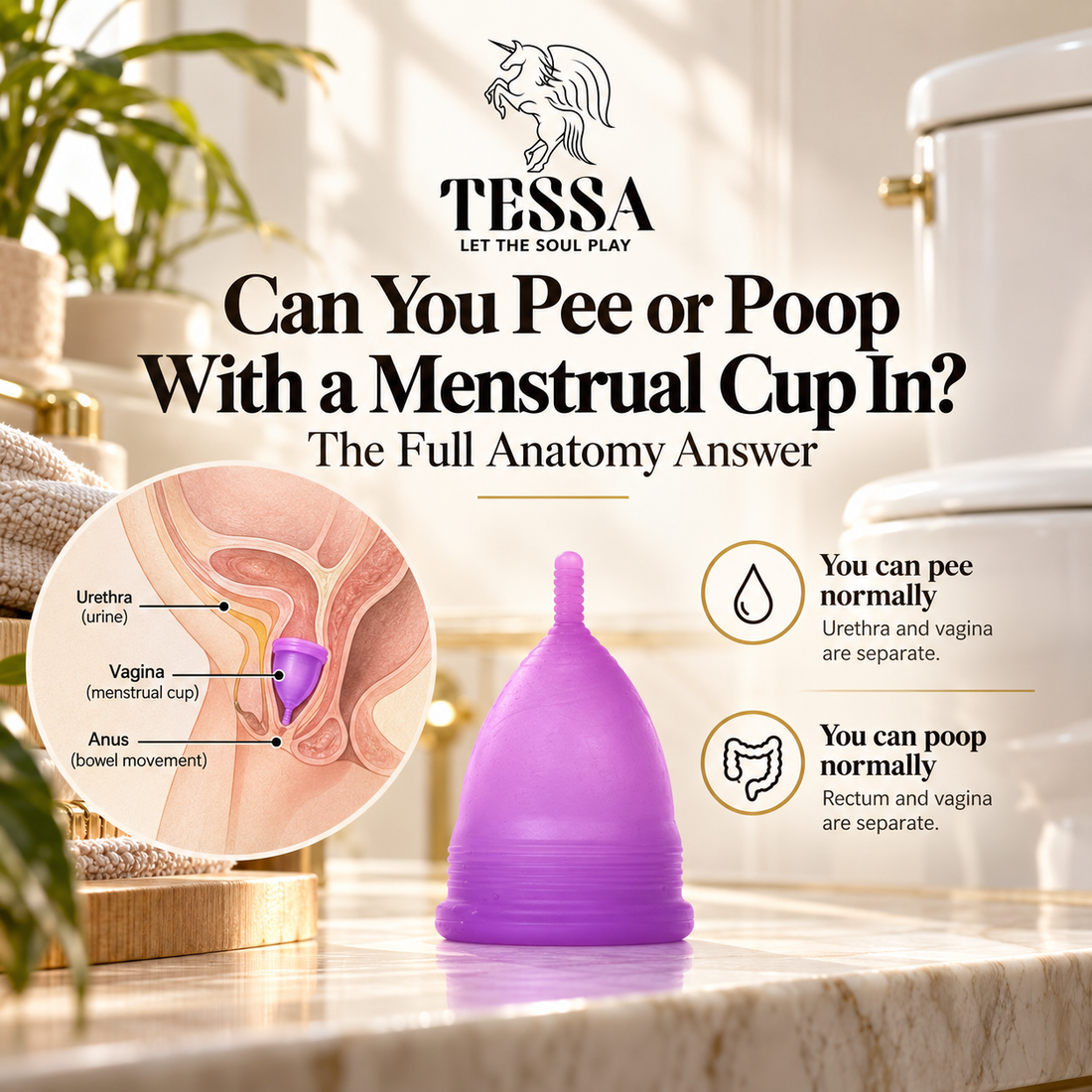 Can You Pee or Poop With a Menstrual Cup In? The Full Anatomy Answer